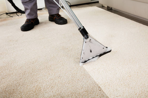 carpet cleaning services