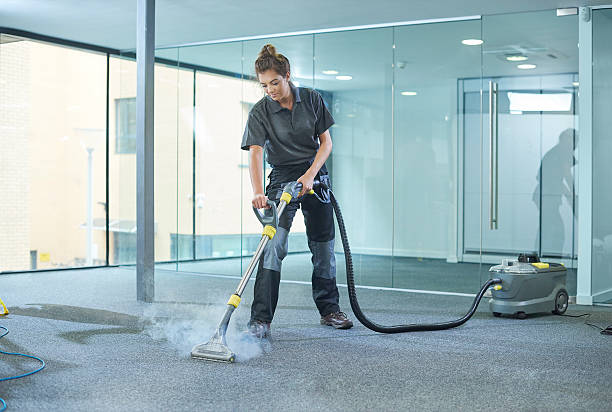 carpet cleaning services