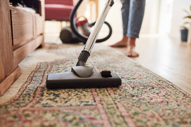 carpet cleaning services